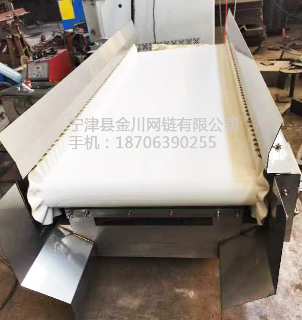 裙邊皮帶輸送機02.jpg